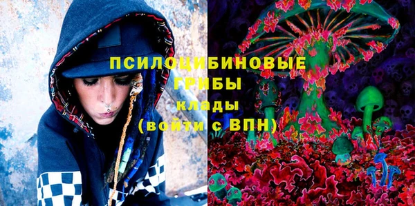 спиды Алексеевка